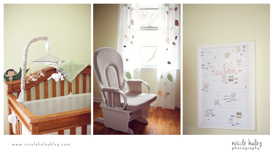 nicole haley photography, michigan child portrait photography