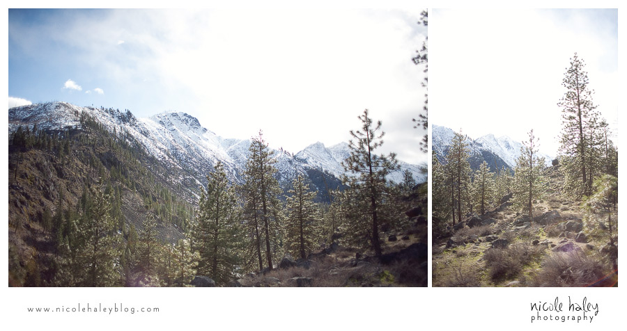 nicole haley photography, seattle vacation, sleeping lady