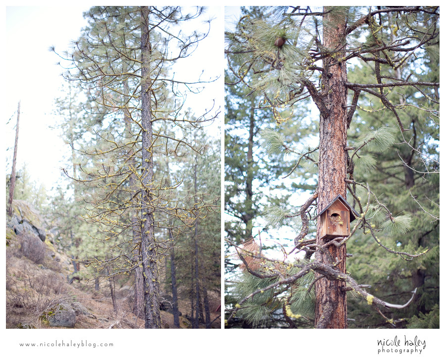 nicole haley photography, seattle vacation, sleeping lady