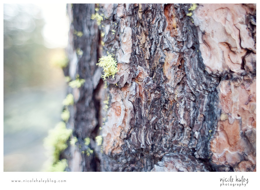 nicole haley photography, seattle vacation, sleeping lady