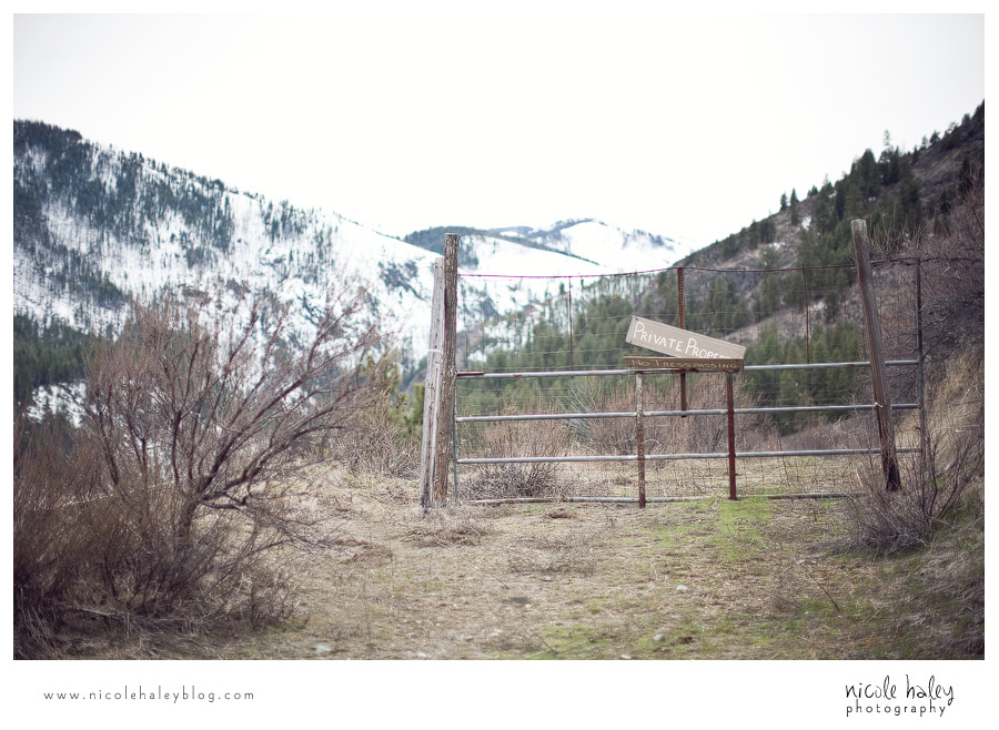 nicole haley photography, seattle vacation, hiking