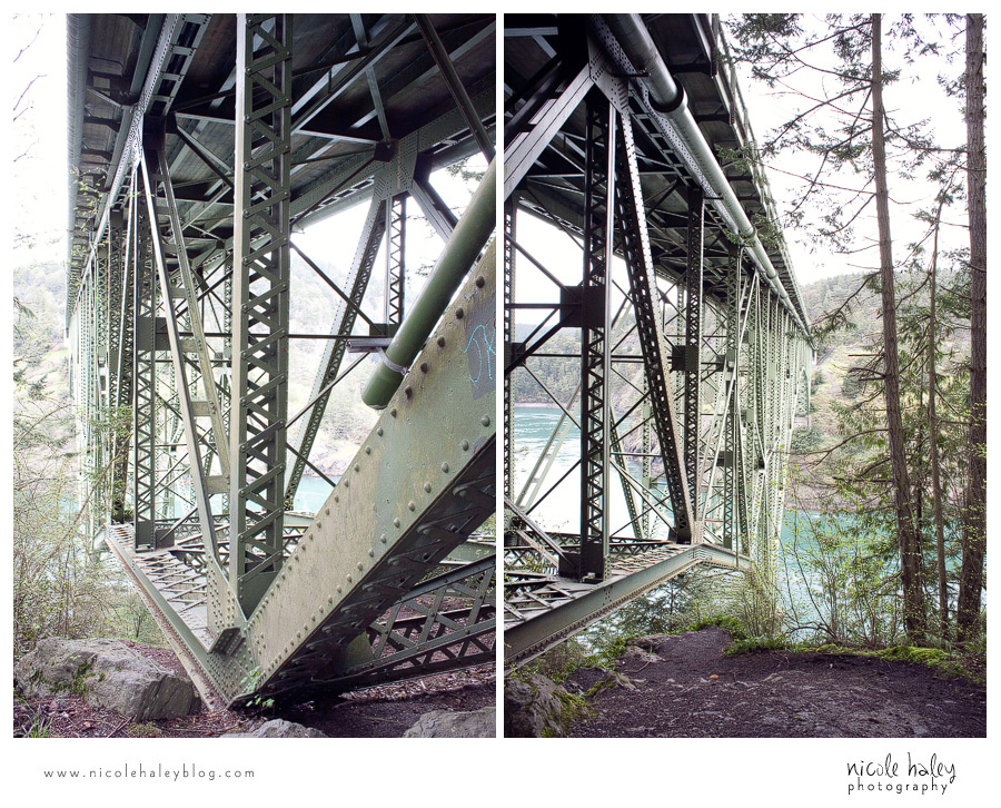 nicole haley photography, seattle vacation, whidbey island, hiking