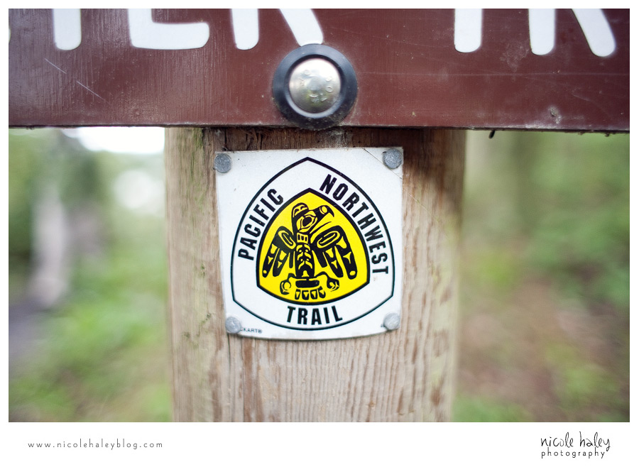 nicole haley photography, seattle vacation, whidbey island, hiking