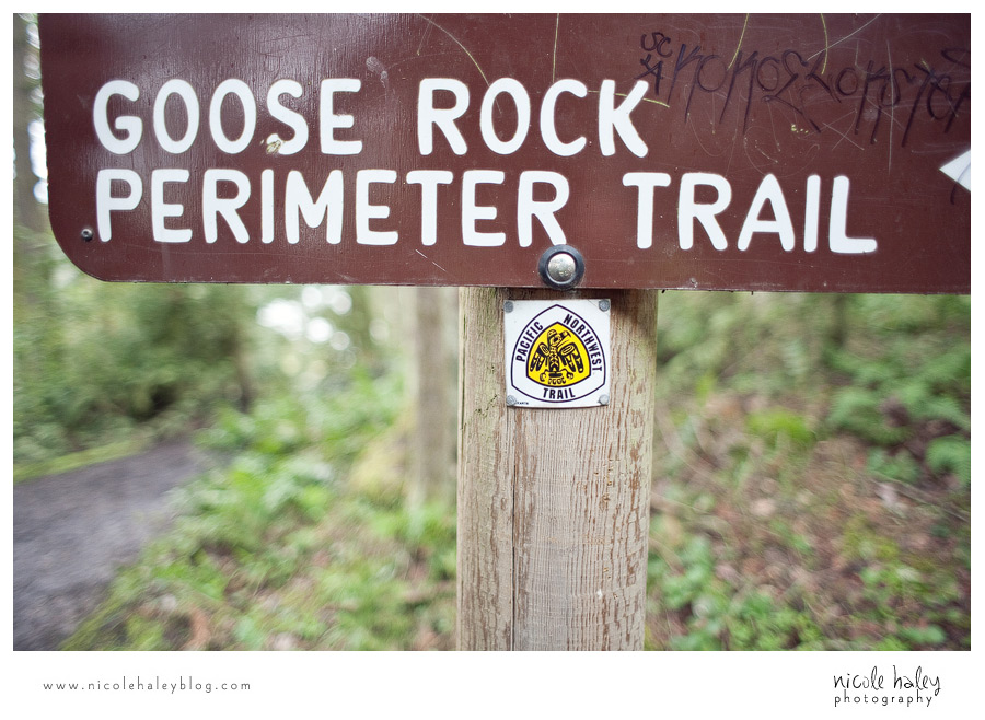 nicole haley photography, seattle vacation, whidbey island, hiking