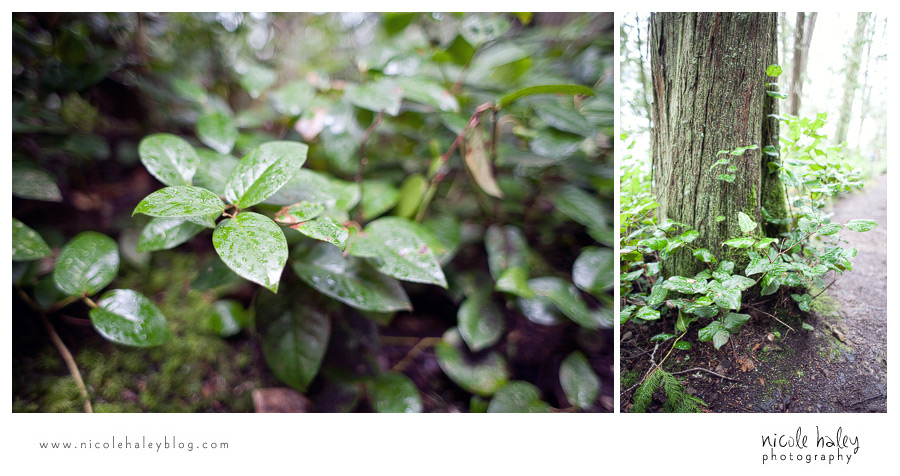 nicole haley photography, seattle vacation, whidbey island, hiking