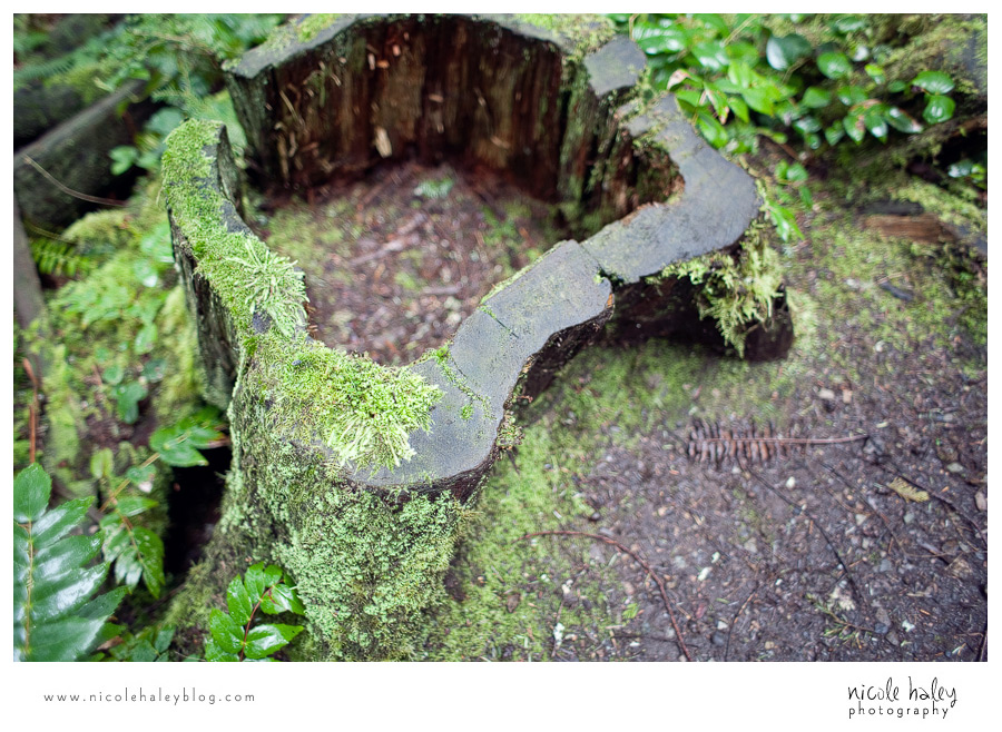 nicole haley photography, seattle vacation, whidbey island, hiking