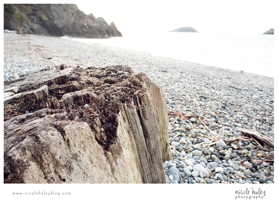 nicole haley photography, seattle vacation, whidbey island, hiking