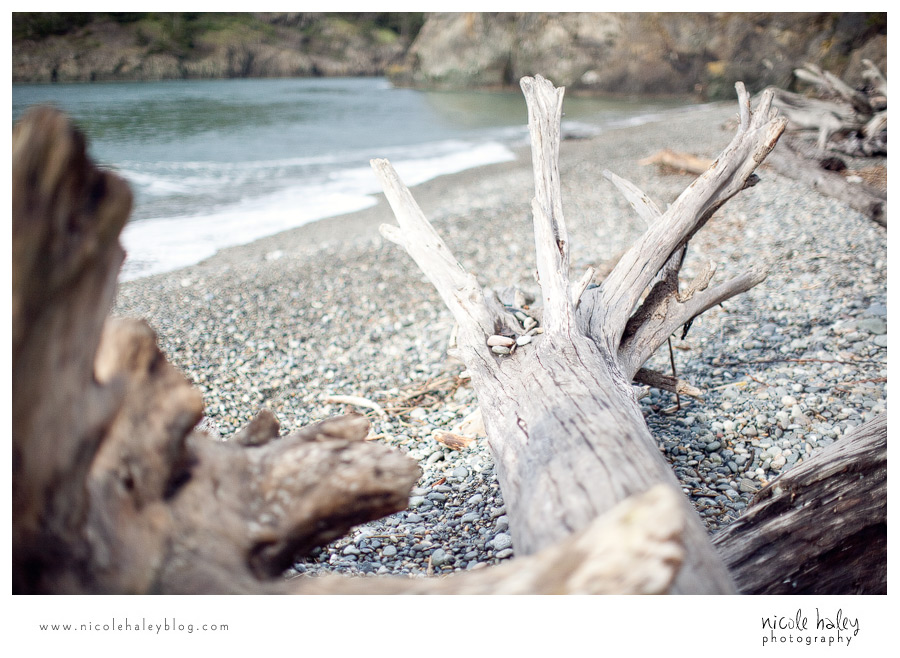 nicole haley photography, seattle vacation, whidbey island, hiking