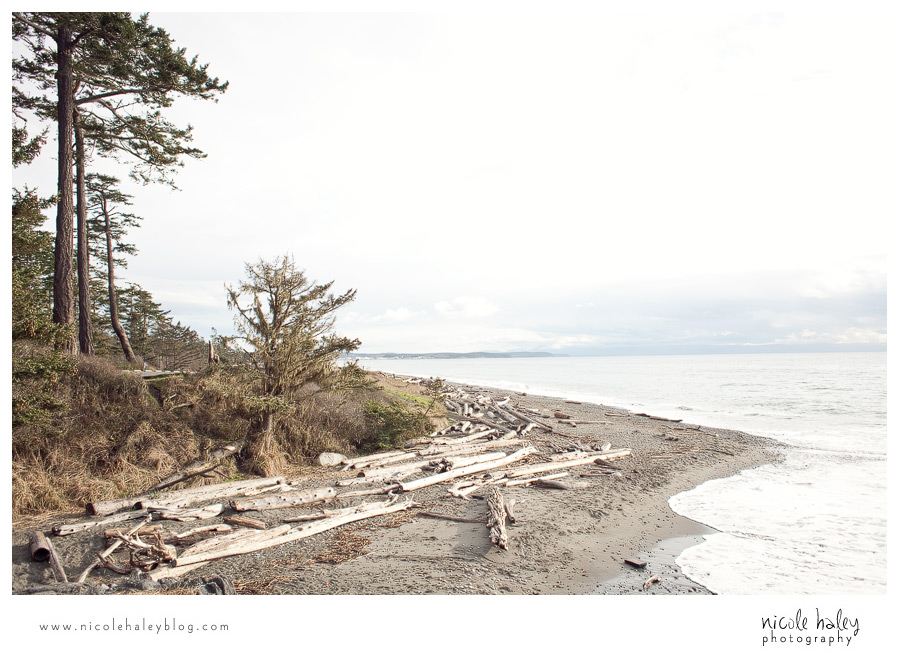 nicole haley photography, seattle vacation, whidbey island, hiking