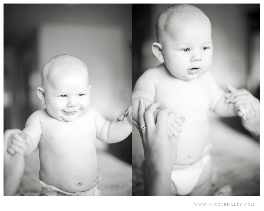 nicole haley photography _ ann arbor newborn photography1 nicole haley photography _ ann arbor newborn photography