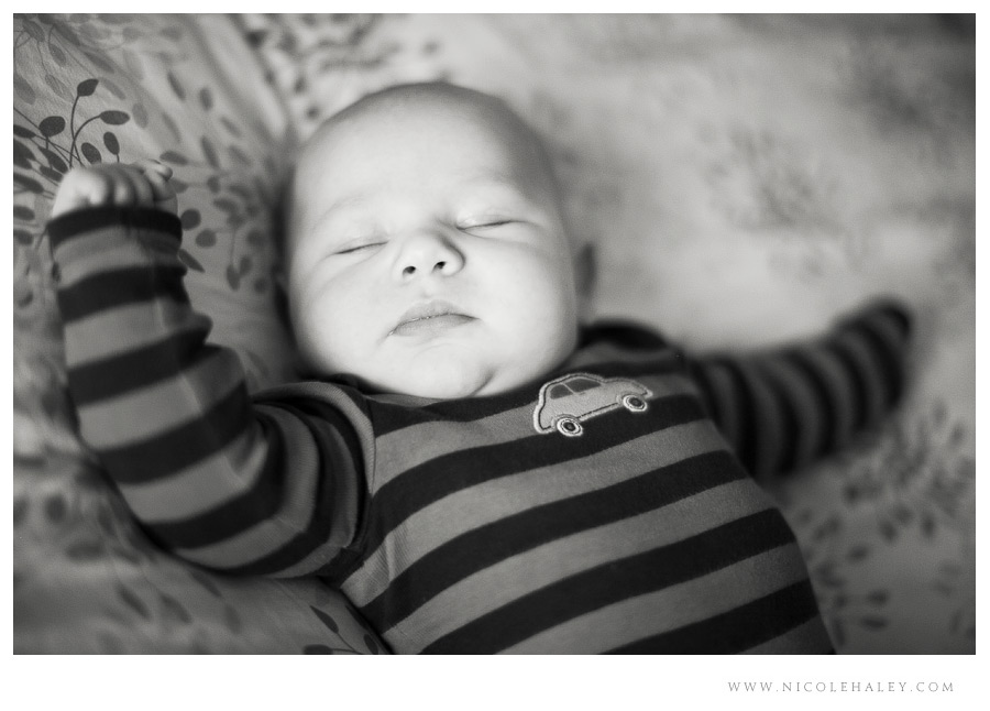 nicole haley photography _ ann arbor newborn photography3 nicole haley photography _ ann arbor newborn photography