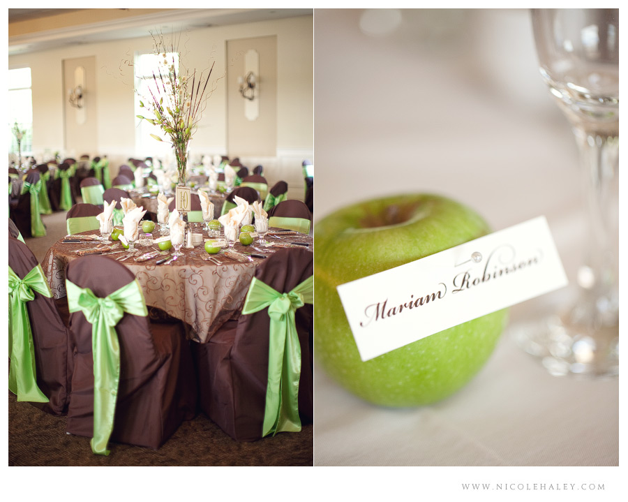 nicole haley photography, ann arbor wedding photographer