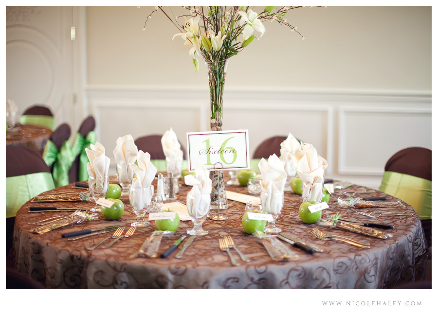 nicole haley photography, ann arbor wedding photographer