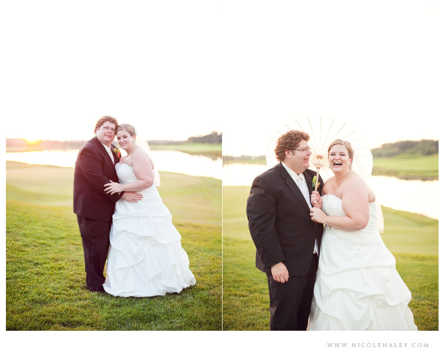 nicole haley photography, ann arbor wedding photographer