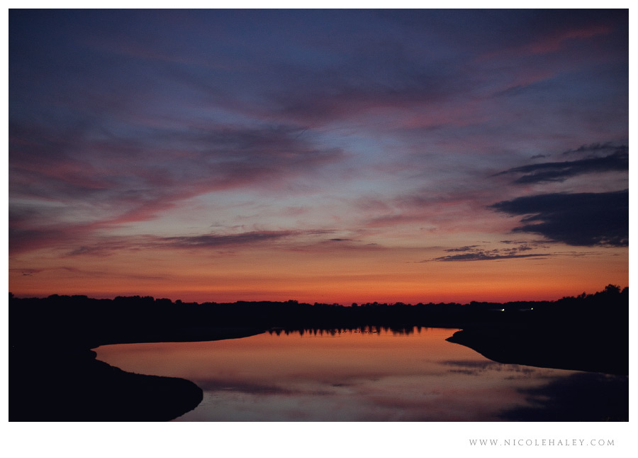 nicole haley photography, ann arbor wedding photographer