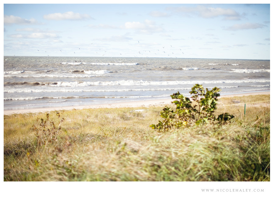 lake michigan wedding _ nicole haley photography 14 lake michigan wedding photography, nicole haley photography