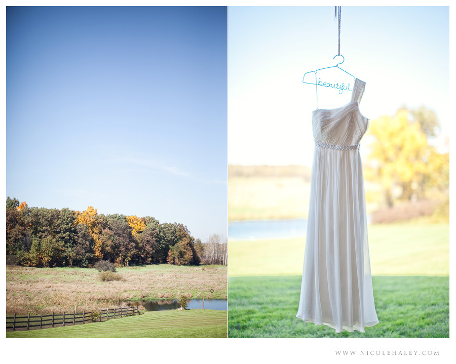 misty farm wedding, ann arbor wedding photographer, j.crew Lucienne gown