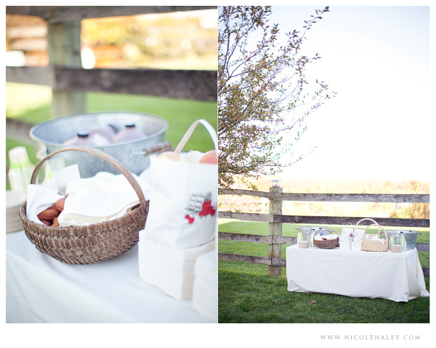 misty farm wedding, ann arbor wedding photographer, michigan fall wedding, dexter cider mill