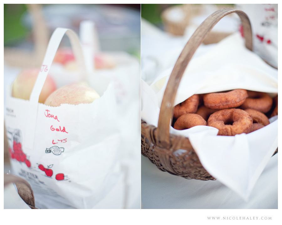 misty farm wedding, ann arbor wedding photographer, michigan fall wedding, dexter cider mill