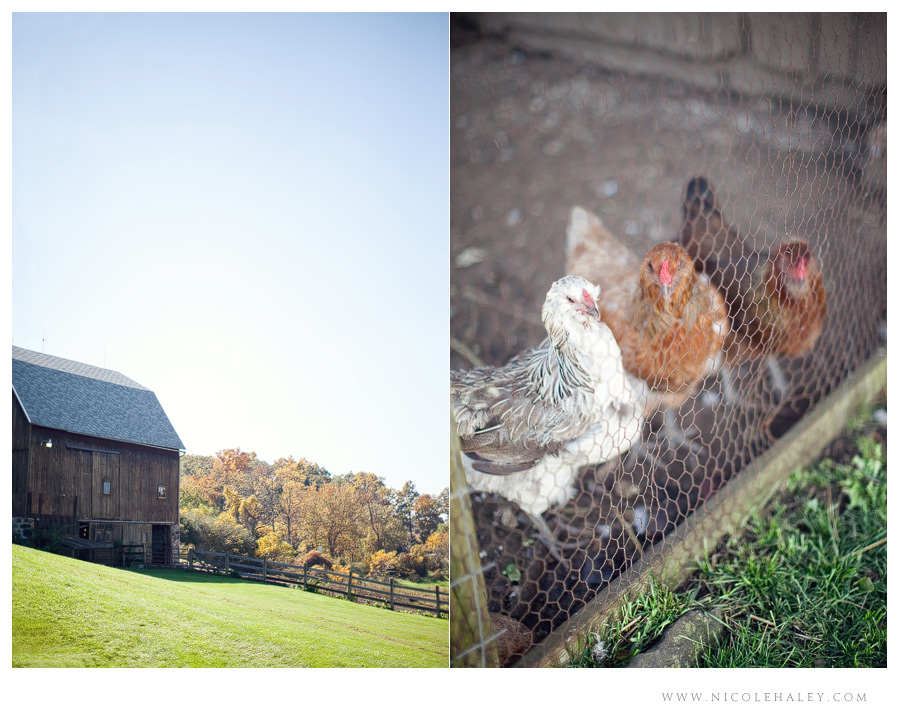 misty farm wedding, ann arbor wedding photographer, michigan fall wedding