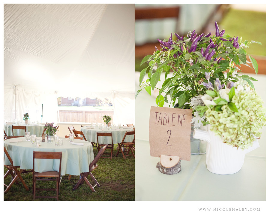 misty farm wedding, ann arbor wedding photographer, rustic michigan wedding