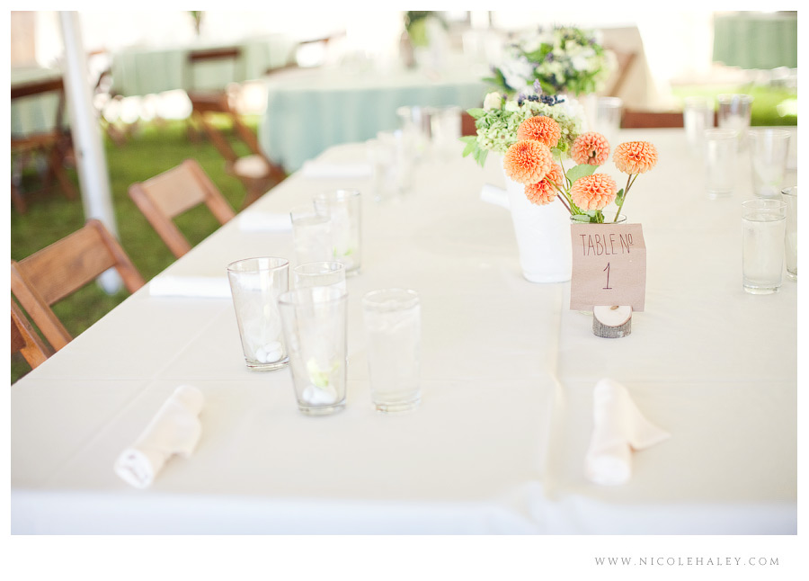 misty farm wedding, ann arbor wedding photographer, rustic michigan wedding