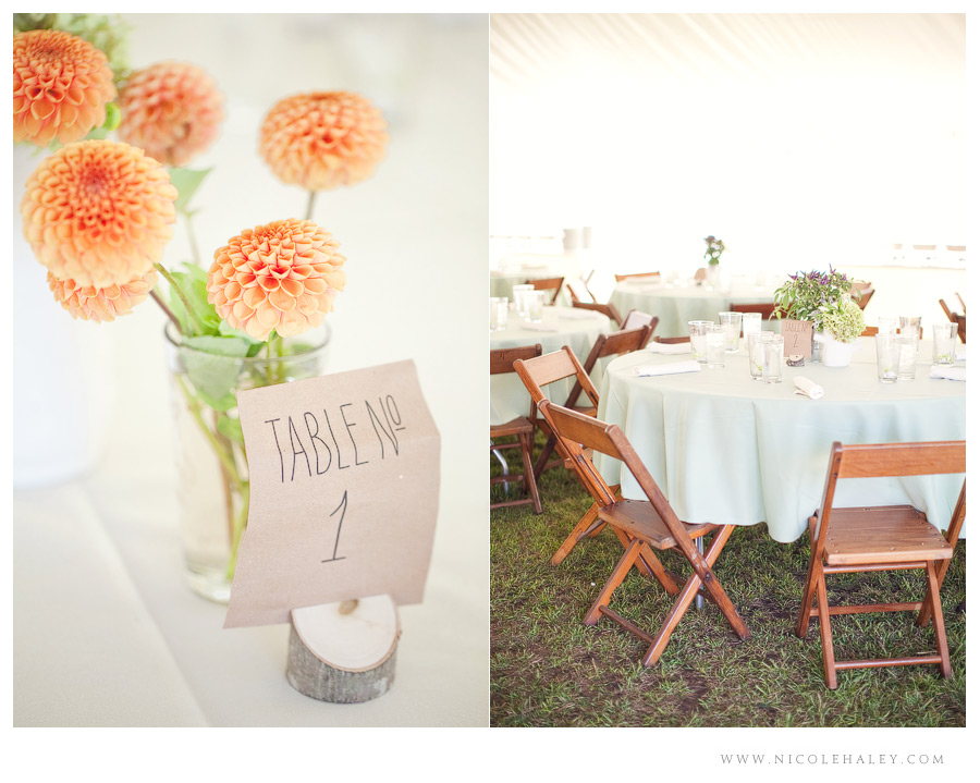 misty farm wedding, ann arbor wedding photographer, rustic michigan wedding