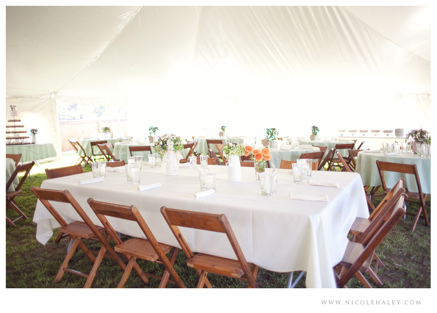 misty farm wedding, ann arbor wedding photographer, rustic michigan wedding