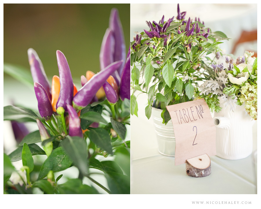 misty farm wedding, ann arbor wedding photographer, rustic michigan wedding