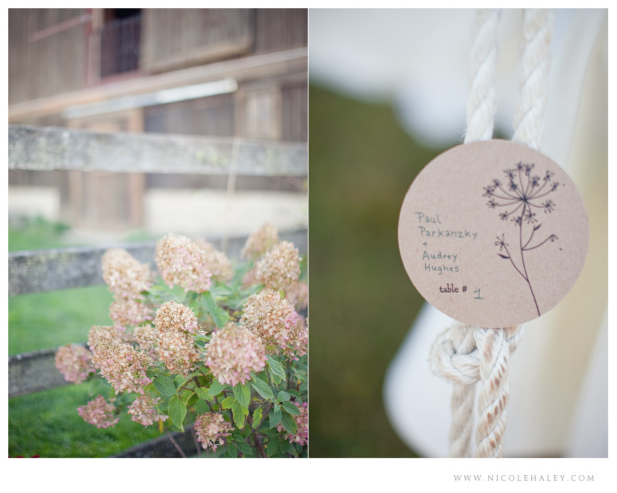 misty farm wedding, ann arbor wedding photographer, rustic michigan wedding