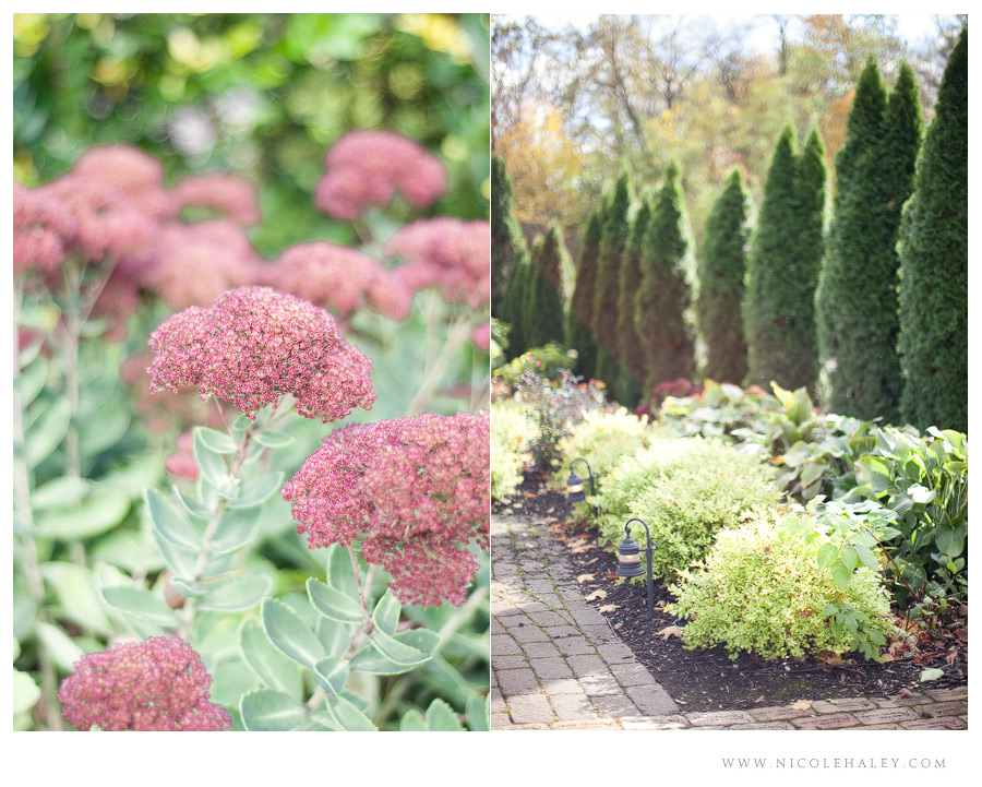 weller's carriage house wedding photography, nicole haley photography