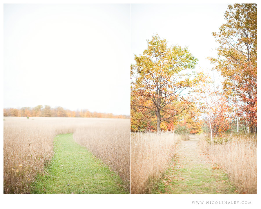 nicole haley photography, leelanau wedding photography, bay view trail