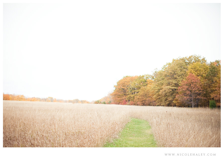 nicole haley photography, leelanau wedding photography, bay view trail