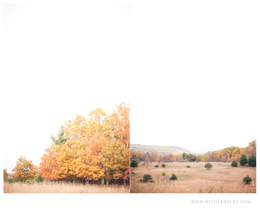 nicole haley photography, leelanau wedding photography, bay view trail