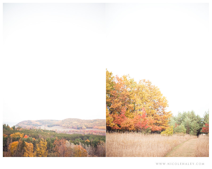 nicole haley photography, leelanau wedding photography, bay view trail