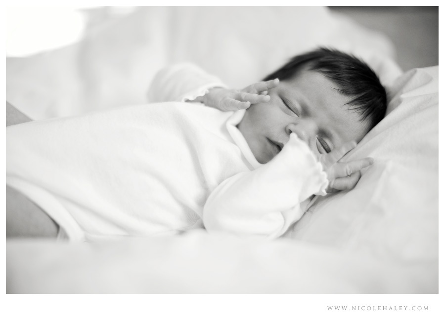 nicole haley photography _ lucy 01 nicole haley photography, ann arbor child photographer