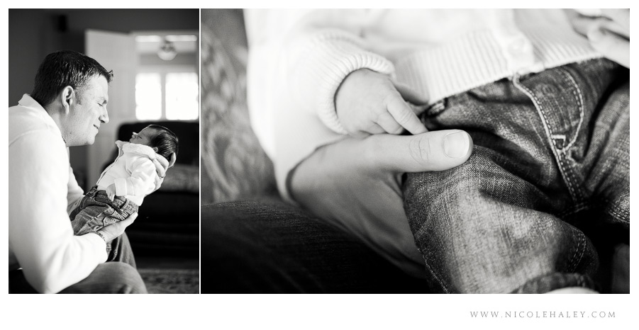 nicole haley photography _ lucy 03 nicole haley photography, ann arbor child photographer