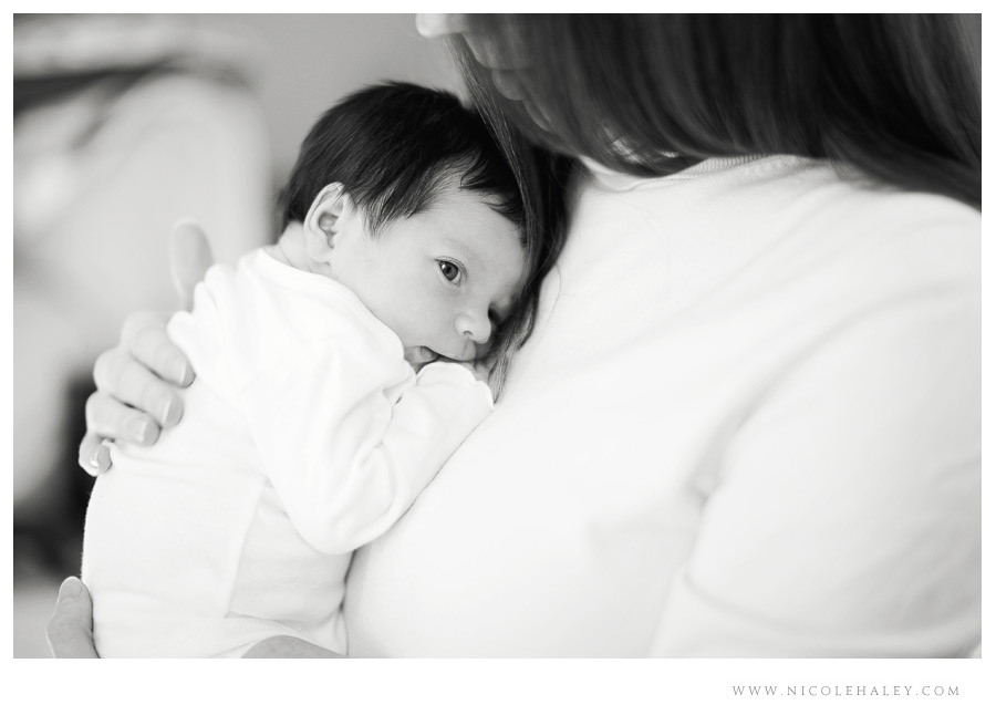 nicole haley photography _ lucy 04 nicole haley photography, ann arbor child photographer