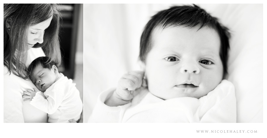 nicole haley photography _ lucy 05 nicole haley photography, ann arbor child photographer