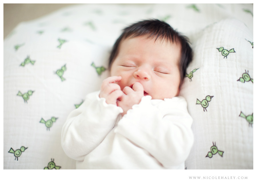 nicole haley photography _ lucy 07 nicole haley photography, ann arbor child photographer