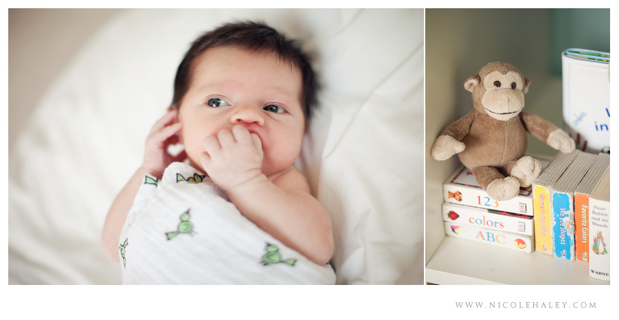 nicole haley photography _ lucy 08 nicole haley photography, ann arbor child photographer