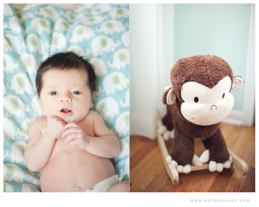 nicole haley photography _ lucy 09 nicole haley photography, ann arbor child photographer