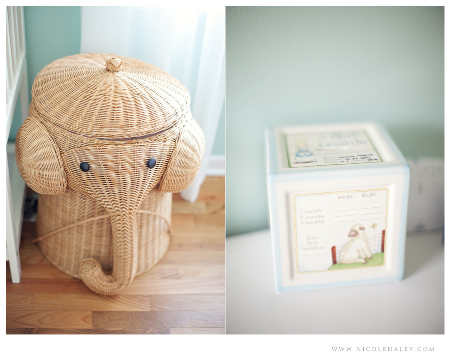 nicole haley photography _ lucy 10 nicole haley photography, ann arbor child photographer