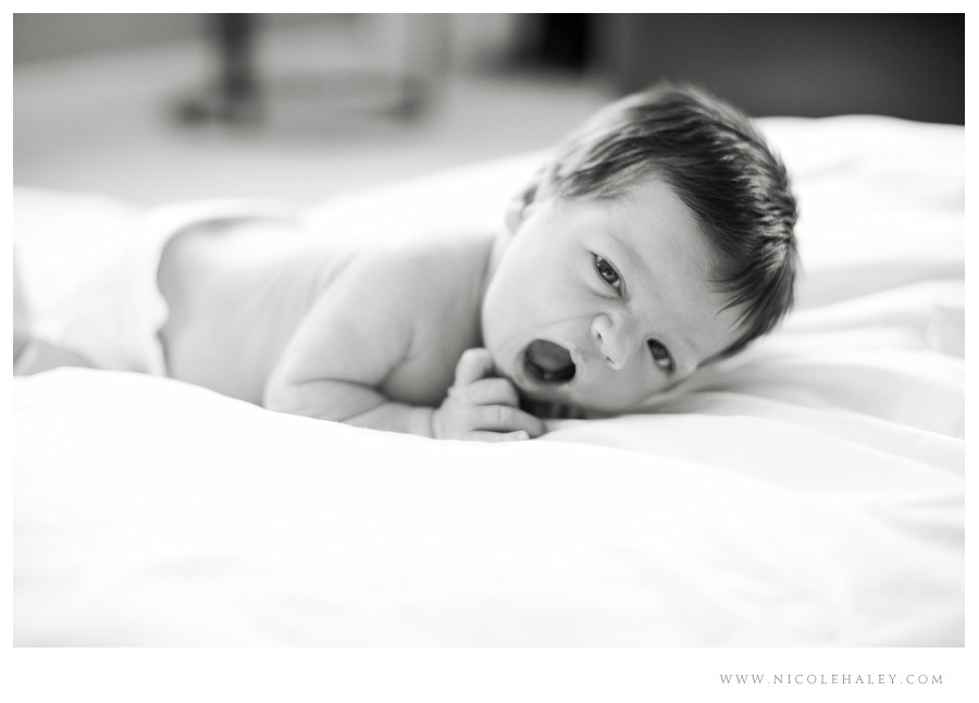 nicole haley photography _ lucy 13 nicole haley photography, ann arbor child photographer