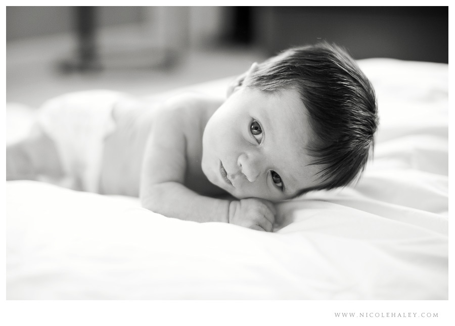 nicole haley photography _ lucy 16 nicole haley photography, ann arbor child photographer