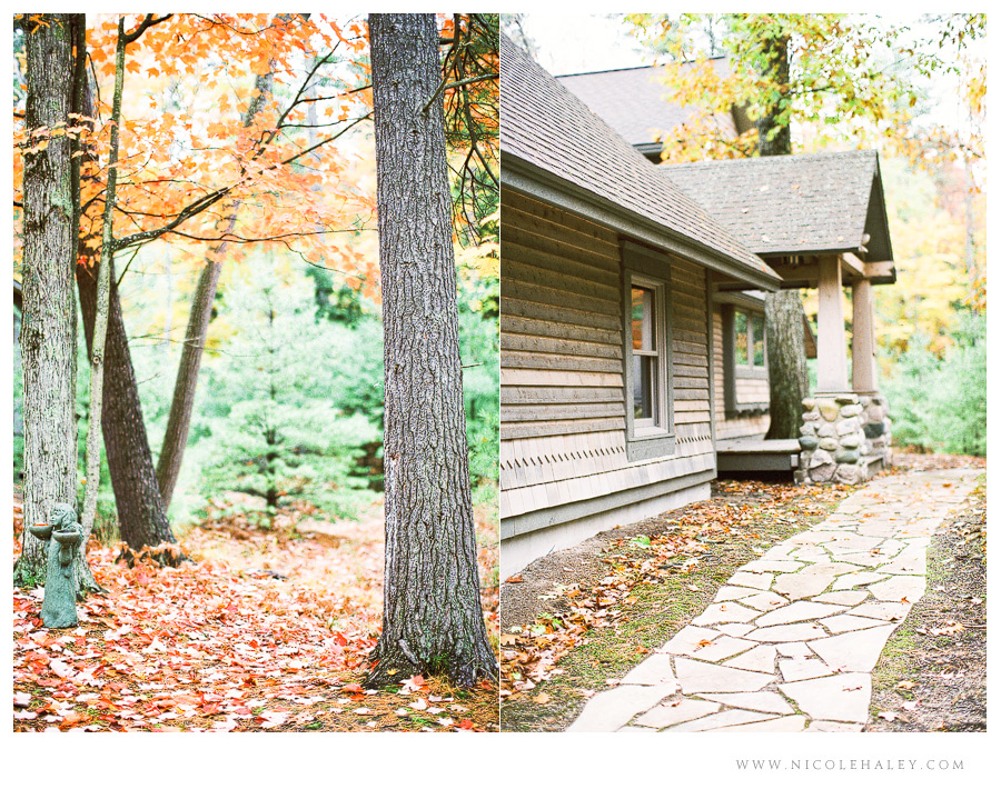 nicole haley photography, fall in leelanau