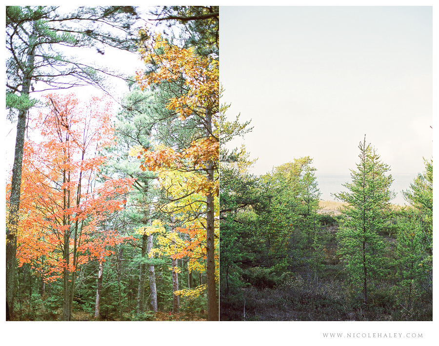 nicole haley photography - leelanau peninsula 03 nicole haley photography, fall in michigan, leelanau, film photography