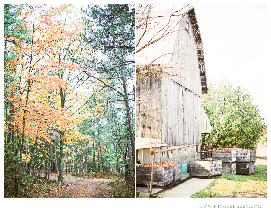 nicole haley photography - leelanau peninsula 04 nicole haley photography, christmas cove farm, fall on leelanau, film photography