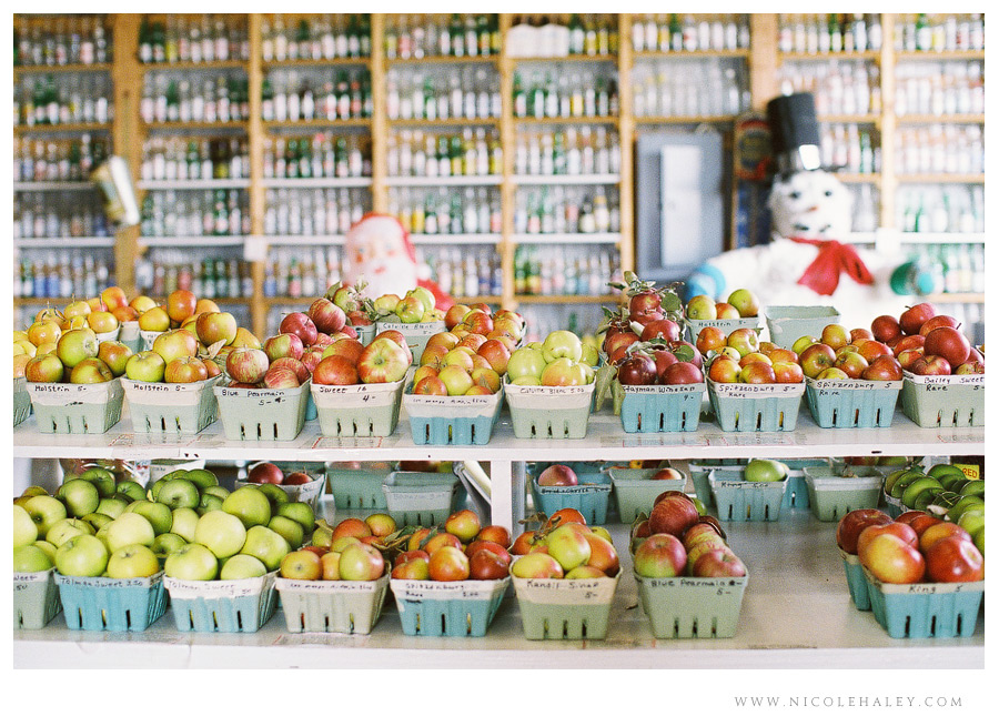nicole haley photography - leelanau peninsula 05 nicole haley photography, christmas cove farm, fall on leelanau, film photography