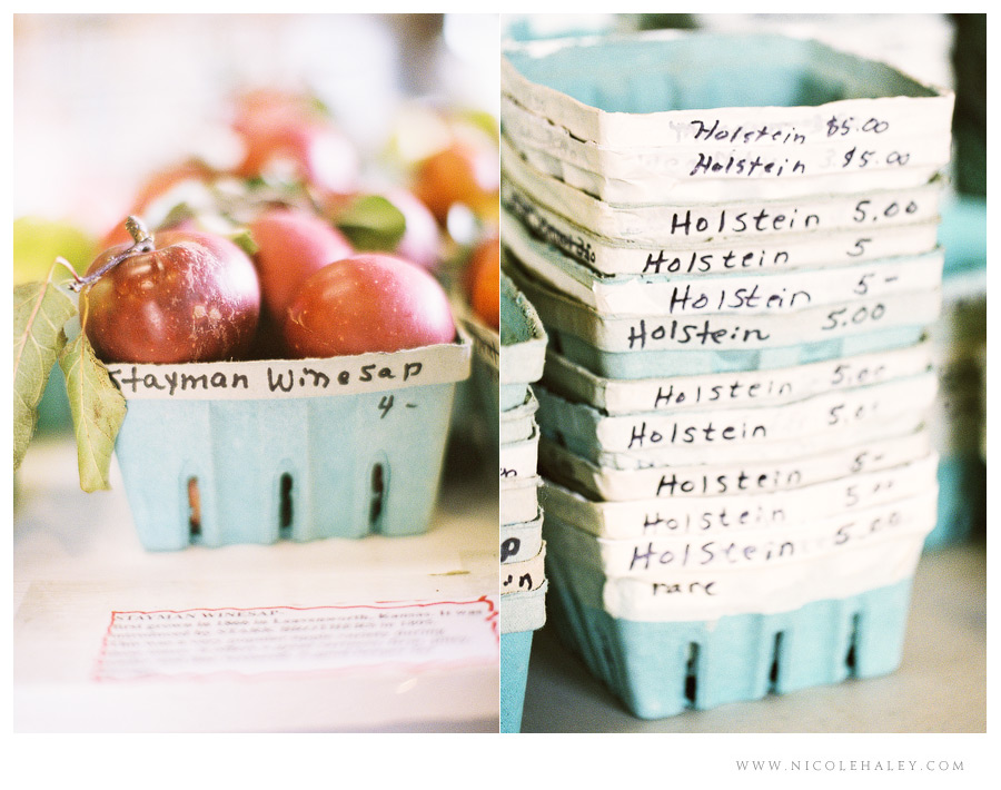 nicole haley photography - leelanau peninsula 06 nicole haley photography, christmas cove farm, fall on leelanau, film photography